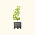 V-Series_Rolling_Tree_Planter_Round | Vego Garden