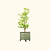 V-Series_Rolling_Tree_Planter_Round | Vego Garden