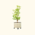 V-Series_Rolling_Tree_Planter_Round | Vego Garden