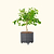 V-Series_Rolling_Tree_Planter_Round | Vego Garden