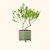 V-Series_Rolling_Tree_Planter_Round | Vego Garden