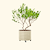 V-Series_Rolling_Tree_Planter_Round | Vego Garden