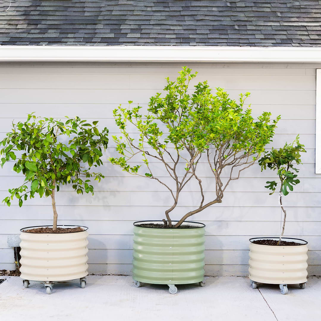 plant pot for trees Vego Classic Rolling Tree Planter
