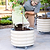 V-Series_Rolling_Tree_Planter_Round | Vego Garden