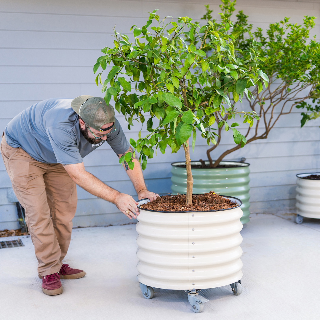 Vego Classic Rolling Tree Planter