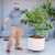 V-Series_Rolling_Tree_Planter_Round | Vego Garden