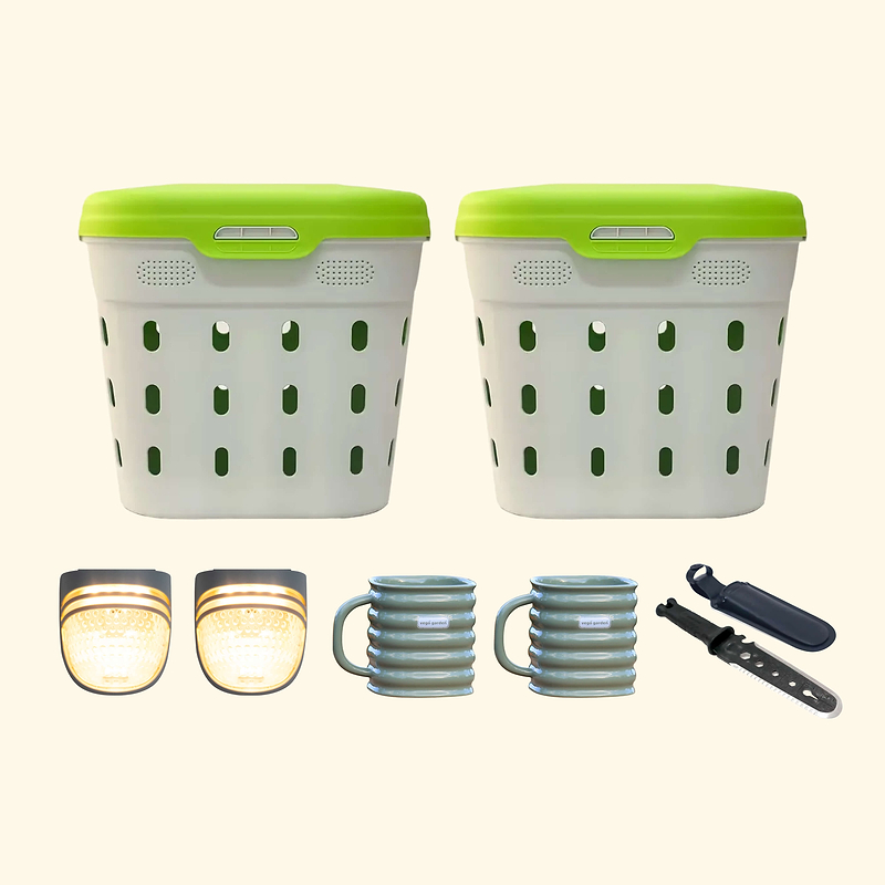 Free Gift Box 241 Unit