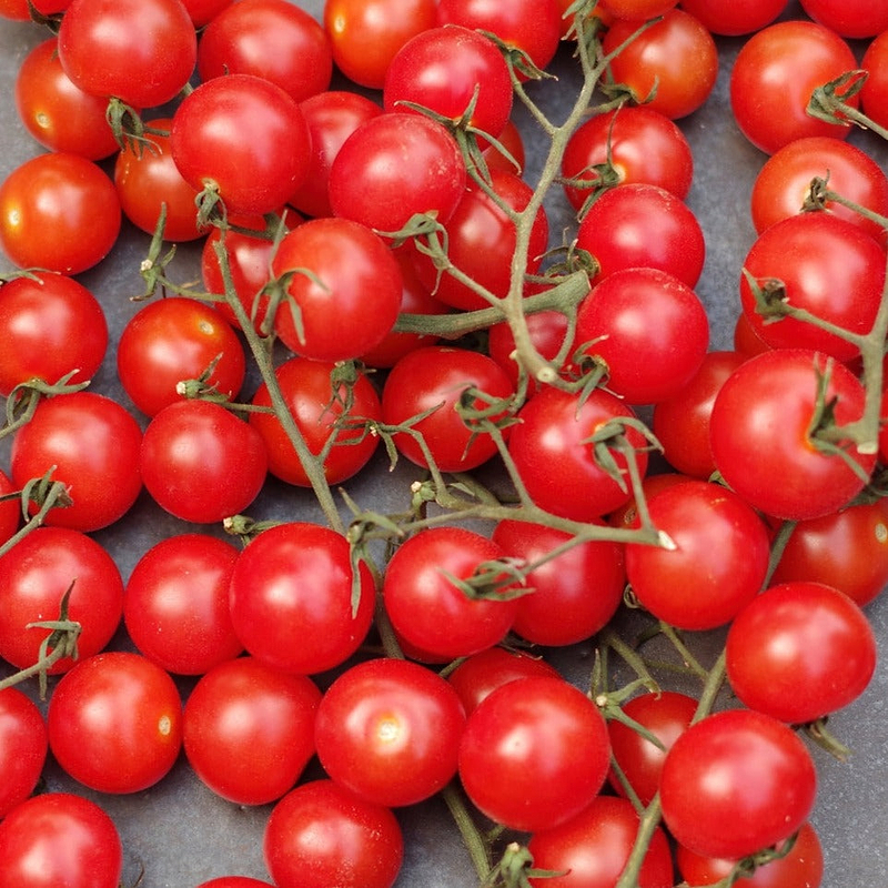 Red Centiflor Tomato Seeds