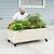 Classic Rolling Garden Beds | Vego Garden