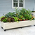 Classic Rolling Garden Beds | Vego Garden