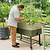 EZCube Elevated Rolling Planter Cart | Vego Garden