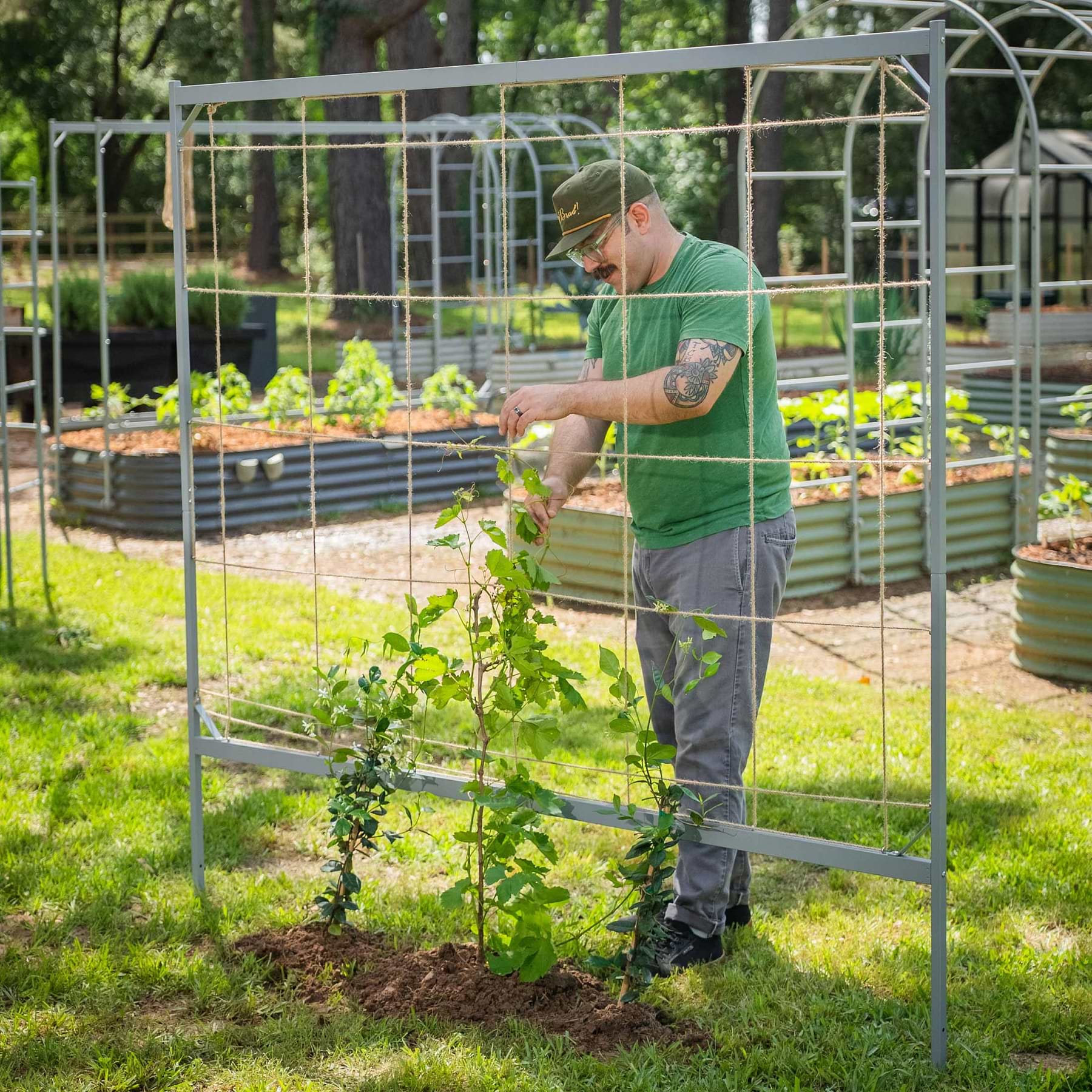 Pepper String Trellis Metal Frame String Trellis