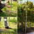 Arched Trellis System