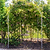 Arched Trellis System