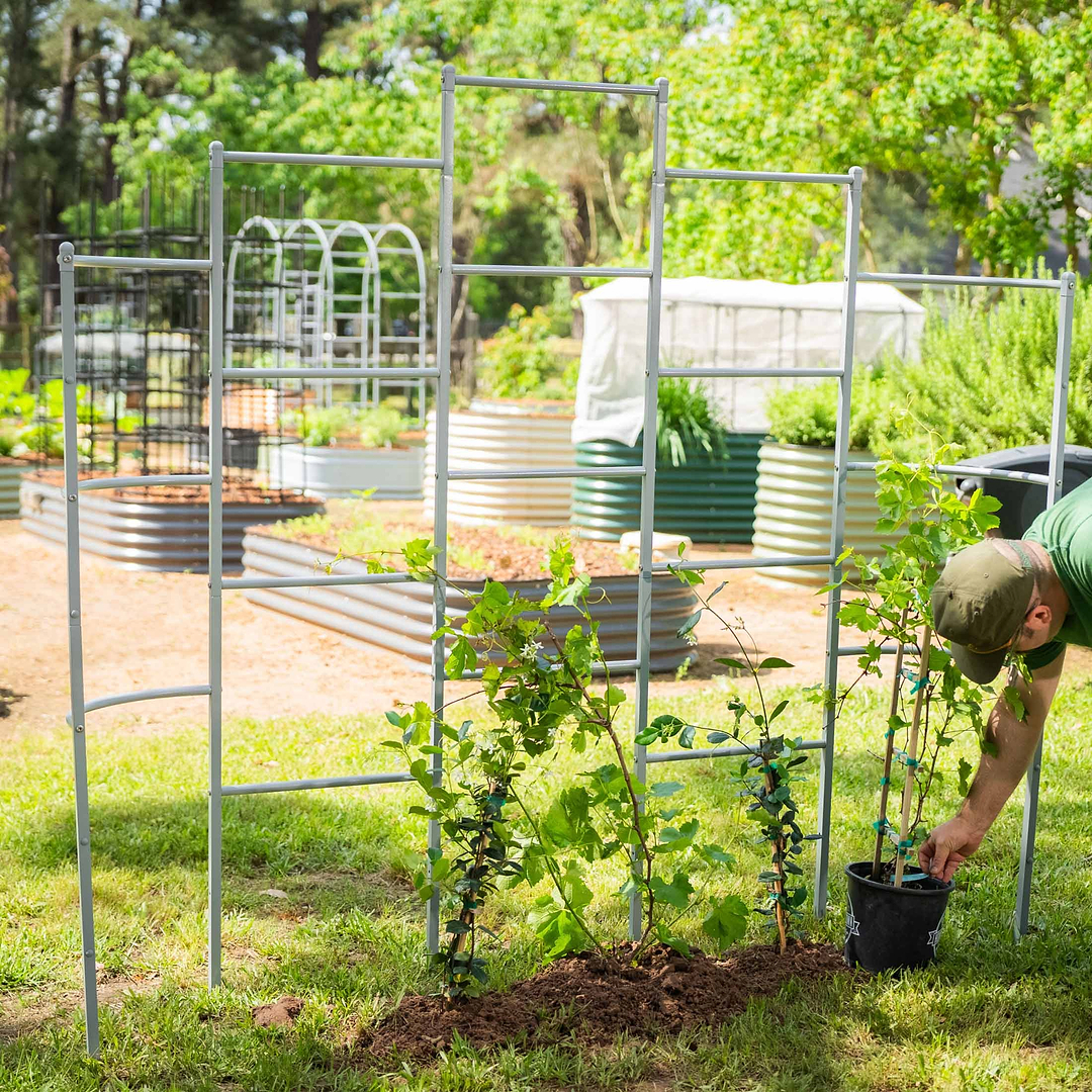 Vertical Herb Garden Wall Trellis System