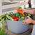 Vego FlexTrug™ - 8 Gallon | Vego Garden