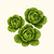Organic Little Gem Lettuce Seeds