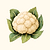Organic Snowball Y Cauliflower Seeds