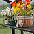Decorative flower arrangement in a wicker basket with lace trim on a table.