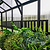 Greenhouse interior with plants and a black metal railing.