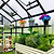 Greenhouse interior with plants and shelves