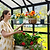 Woman in a sunroom with potted flowers and plants