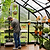 Vego Grand Pacific Greenhouse - 12.5ft Wide