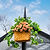 Decorative Greenhouse Finial - 2 Pack | Vego Garden