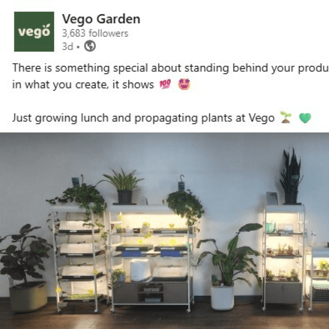 Vego garden beds