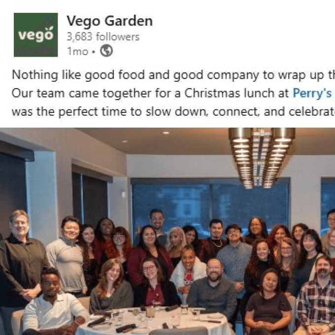 Vego garden beds