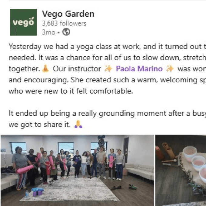 Vego garden beds