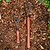Vego Heritage Cultivator | Vego Garden
