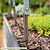 Trellis Anchors