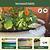 Vego Classic Garden Bed | Modular Metal Raised Garden Bed Kit | Vego Garden