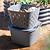 FlexTrug | Vego Garden