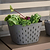 Vego FlexTrug™ Strainer Basket - 8 Gallon