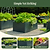 Vego_Garden-Modern-Garden-Bed