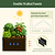 Vego_Garden-Modern-Garden-Bed