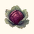 Organic Red Acre Cabbage Seeds