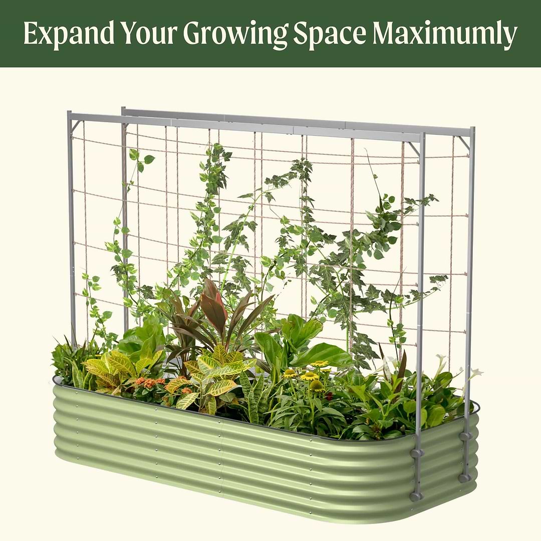5ft trellis planter Metal Frame String Trellis
