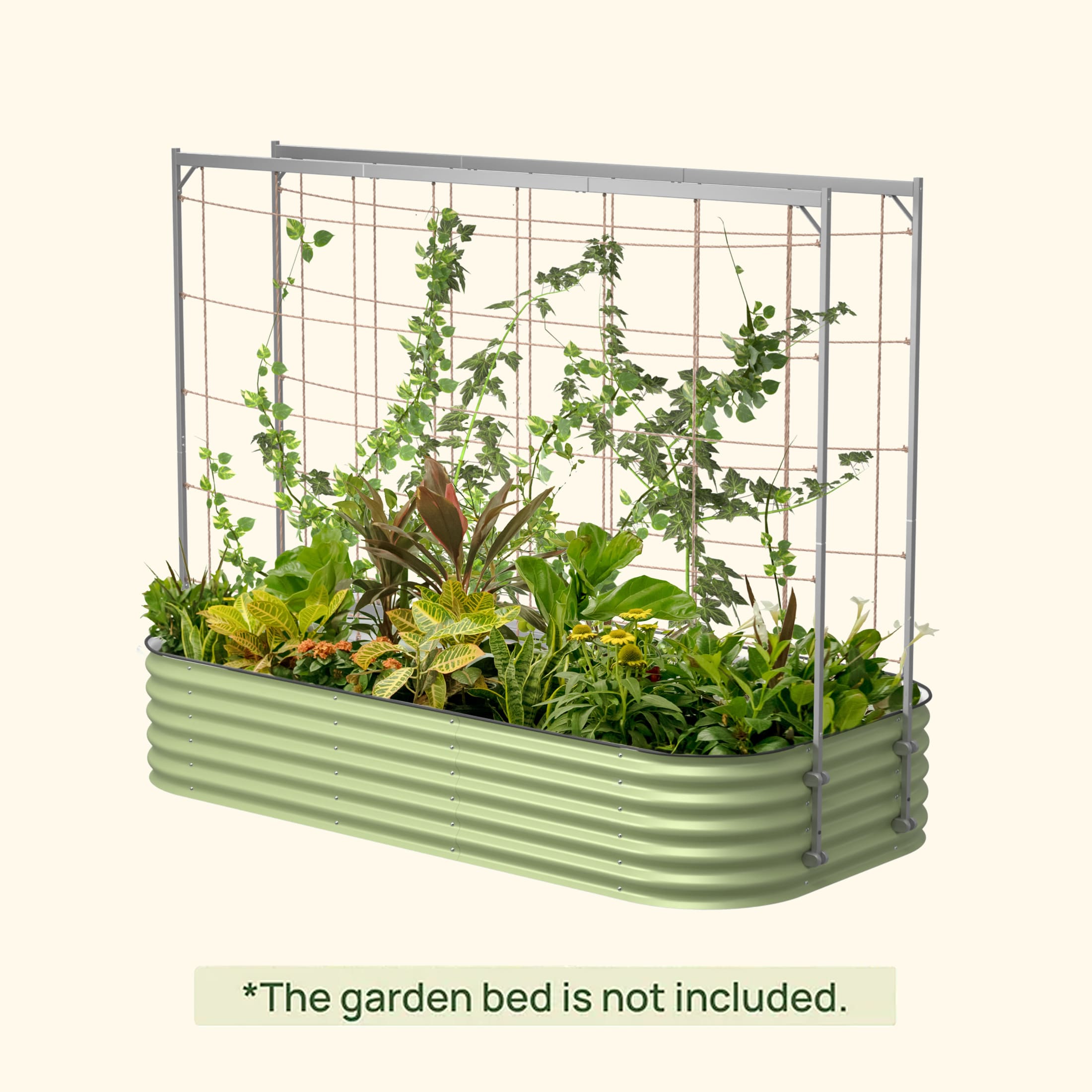 cheap plant trellis Metal Frame String Trellis, 5.0'