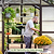 Vego Pacific Greenhouse - 8.5ft Wide