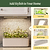 Vego Garden The Vego Grow Light Lifestyle