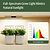 Vego Garden The Vego Grow Light Lifestyle