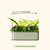The Vego Grow Light Stand