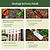 Heritage Hand Tools | Vego Garden