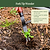 Heritage Hand Tools | Vego Garden