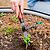 Heritage Fork Tip Weeder