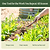 Heritage Hand Tools | Vego Garden