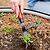 Vego Heritage Tool Kit (4-Piece Set) | Vego Garden